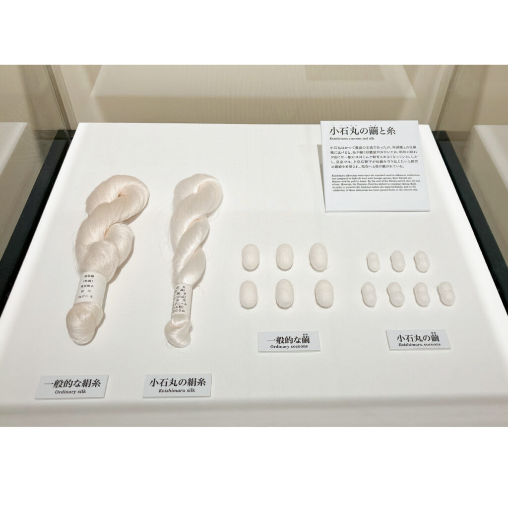 展示品：小石丸の絹糸